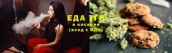 гидра Рославль