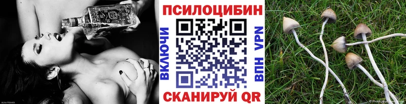 Галлюциногенные грибы Psilocybe  купить наркотик  Жуков 